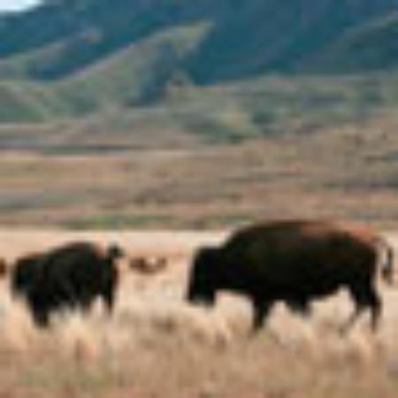 Gerritsen Beach Bagel